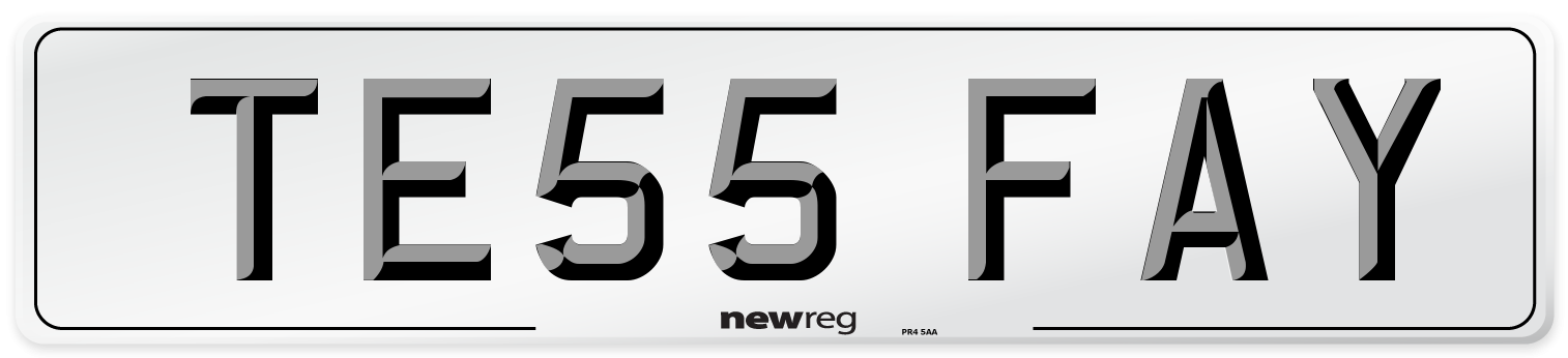 TE55 FAY Number Plate from New Reg